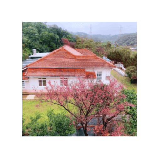 林口維多利亞民宿