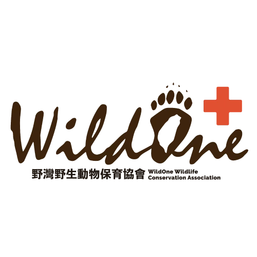 野灣野生動物保育協會